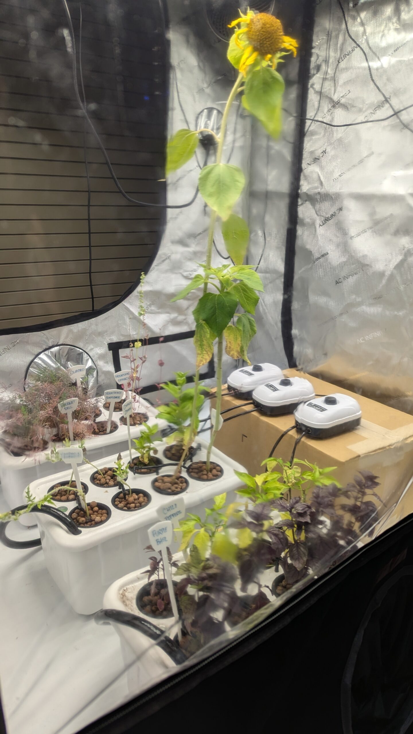 Hydroponics Right Hydroponics Right