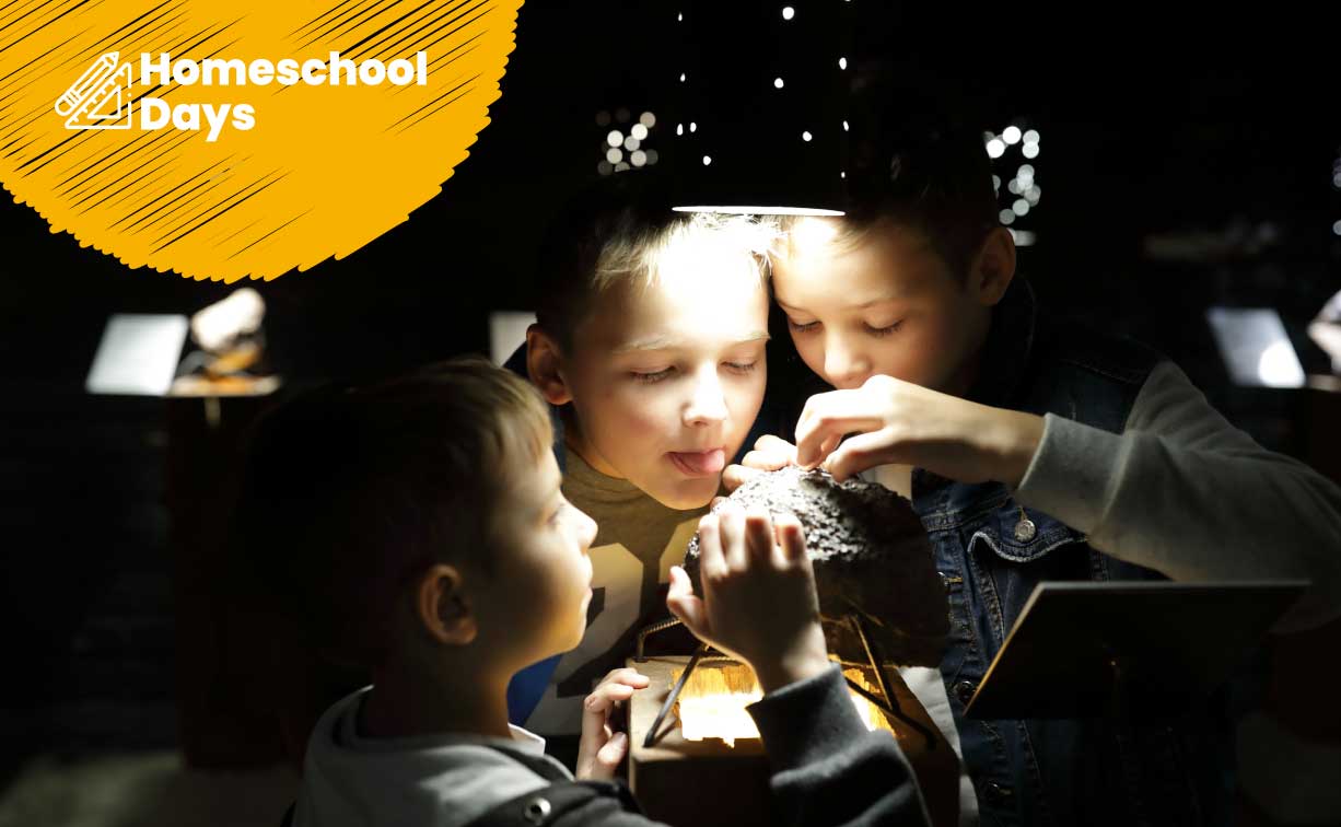 SFDC_HomeSchoolDays2 Home School Days