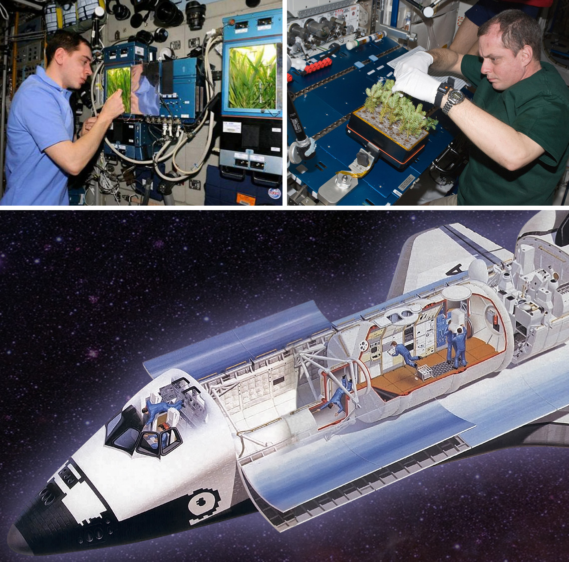 spacelab-composite.jpg spacelab-composite.jpg