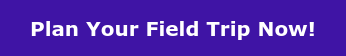 Plan Your Field Trip Now!