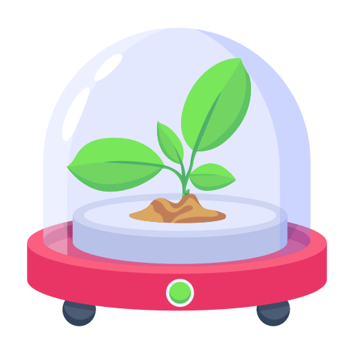 incubator incubator