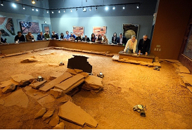 Mars Robotics