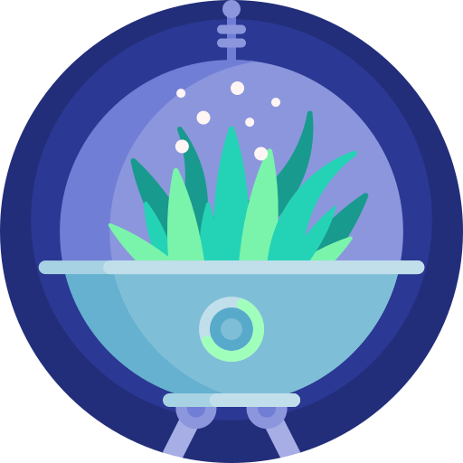 terrarium terrarium